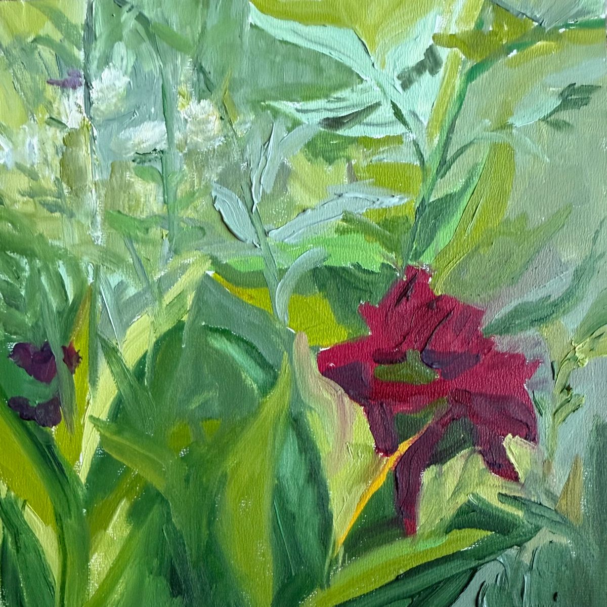 Red Peony