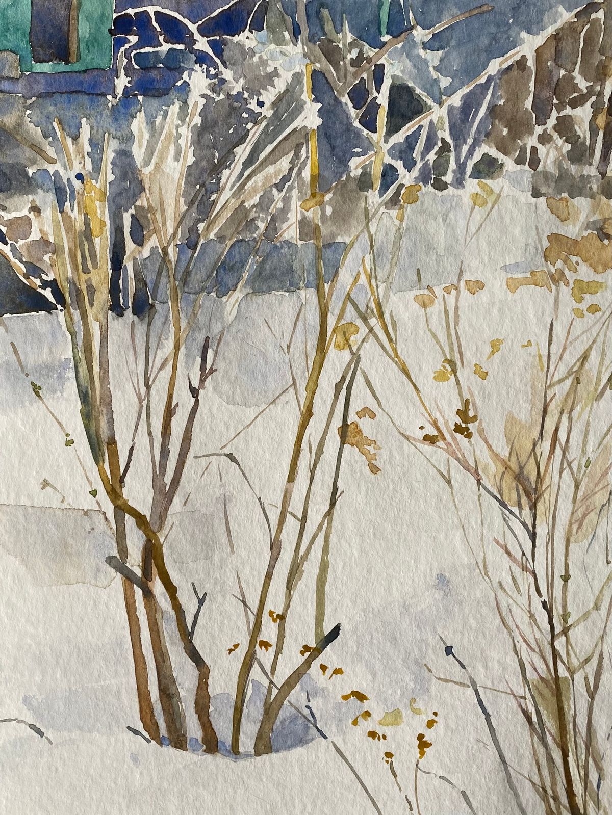 Winter Bush