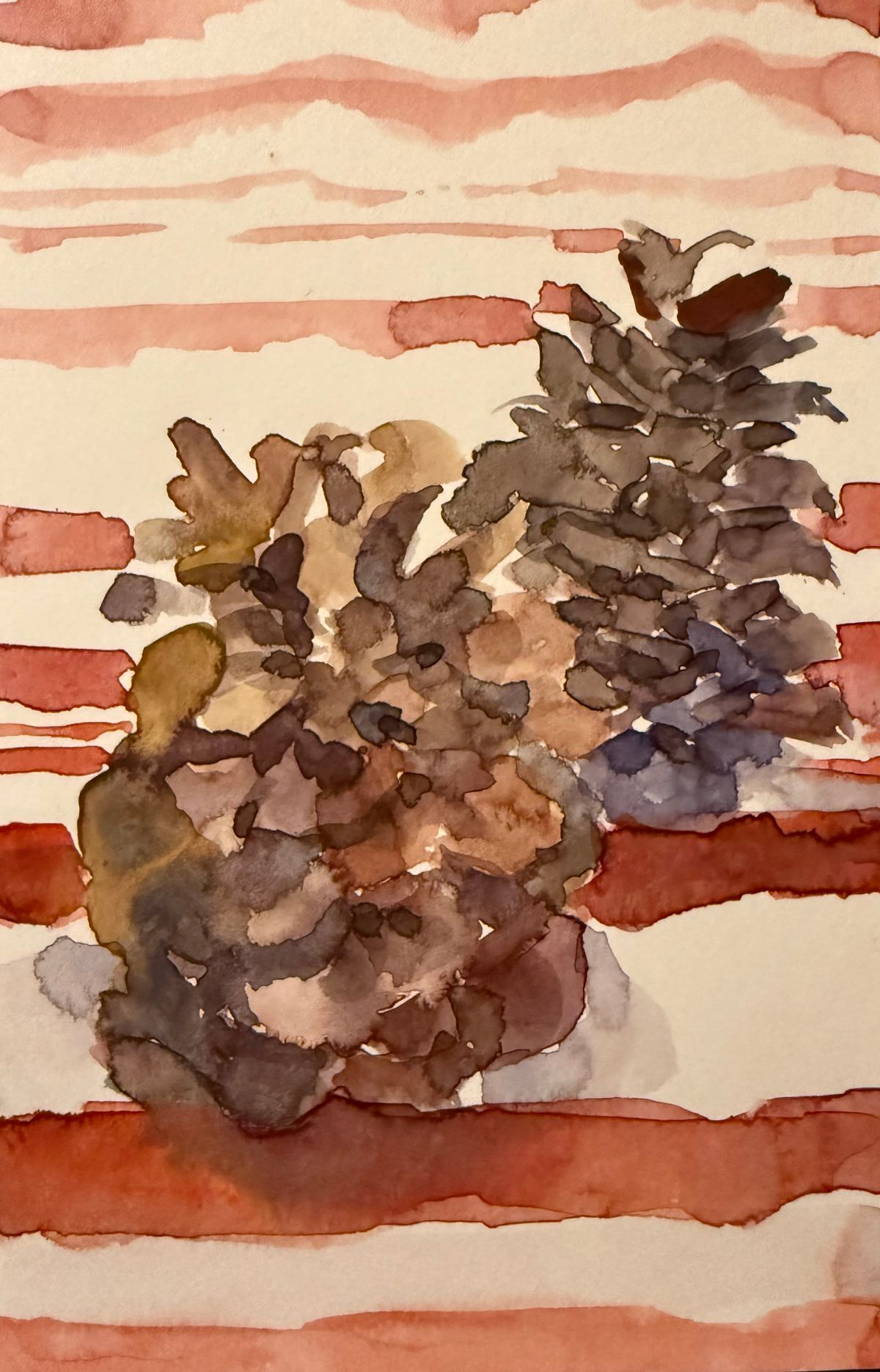 Pines Cones